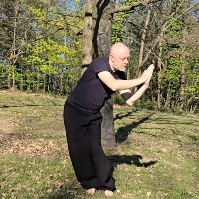 HuiChunGong - Dragon